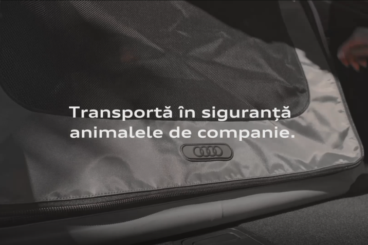 Siguranța animalului tău de companie este la fel de importantă ca a tuturor pasagerilor