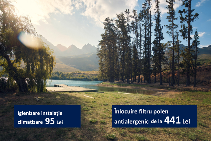 Ai grijă ca aerul din mașină să fie mereu curat