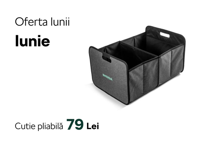 Oferta lunii iunie - Skoda