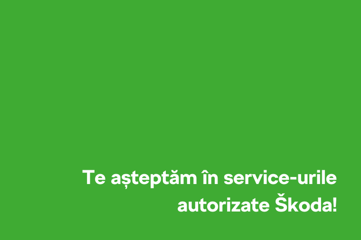 Service Skoda