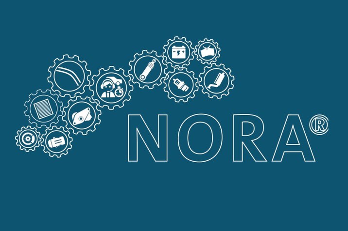Centru NORA