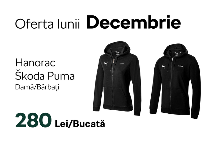 Oferta lunii decembrie - Škoda