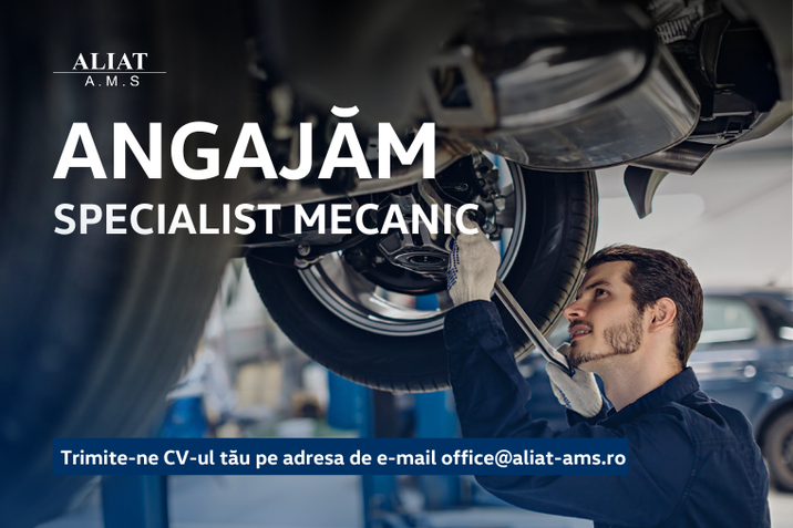 Ne mărim echipa și avem nevoie de tine la departamentul Service.ei noastre