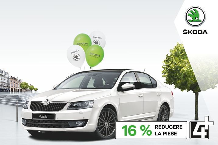 Accesorii Skoda