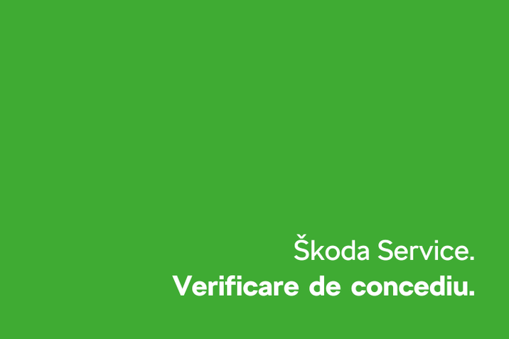 Škoda Service